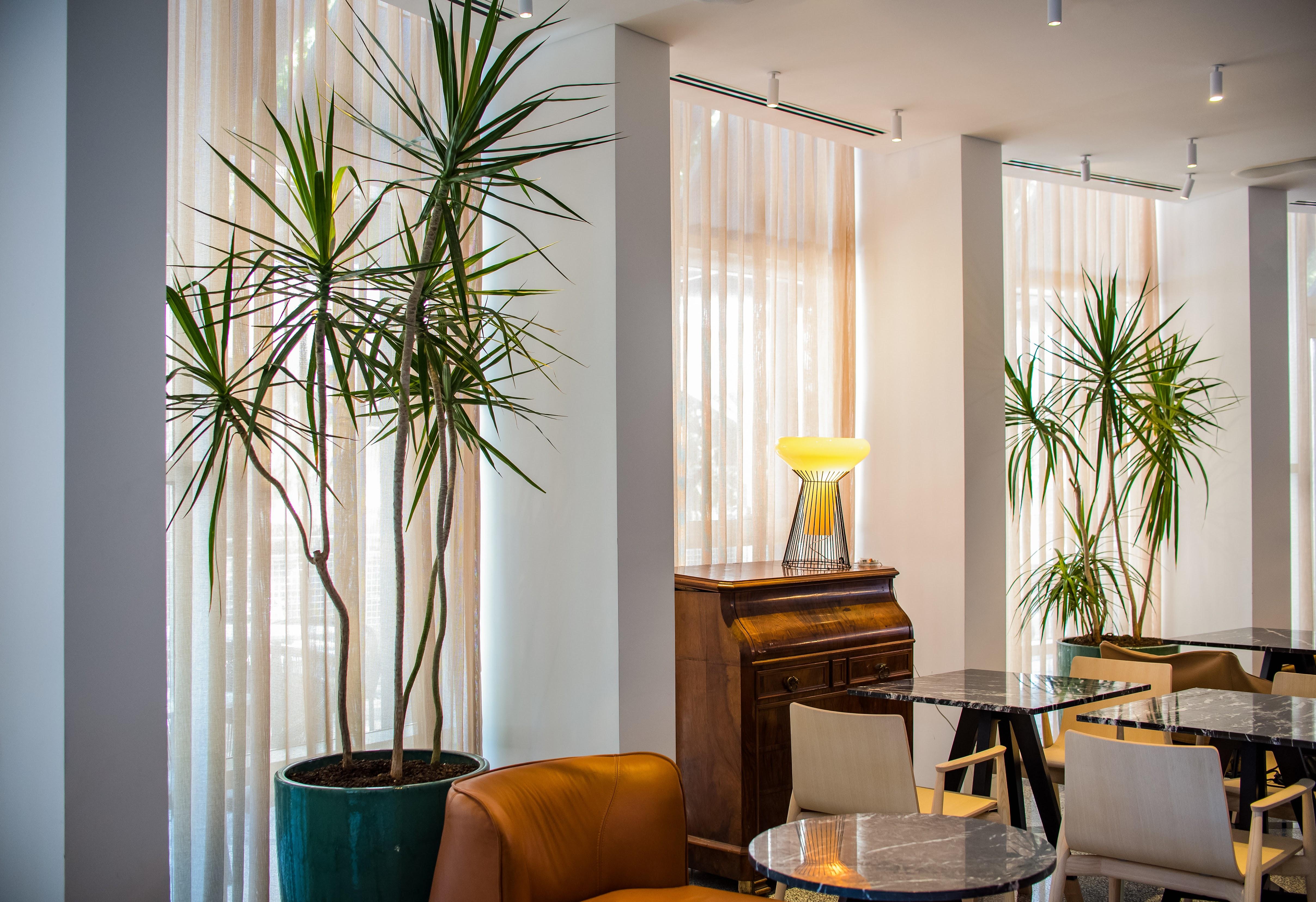 65 Hotel, Rothschild Tel Aviv - an Atlas Boutique Hotel Extérieur photo